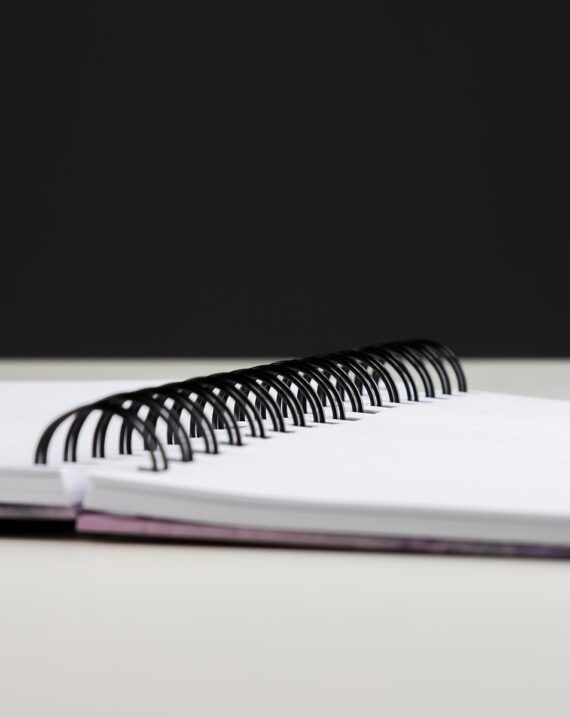 Cuaderno Anillas Pedro Zerolo - Imagen 4