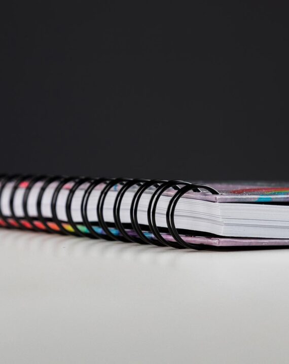 Cuaderno Anillas Pedro Zerolo - Imagen 6