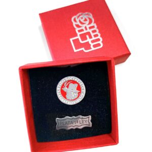 Pin Yunque y Pluma Plata de ley